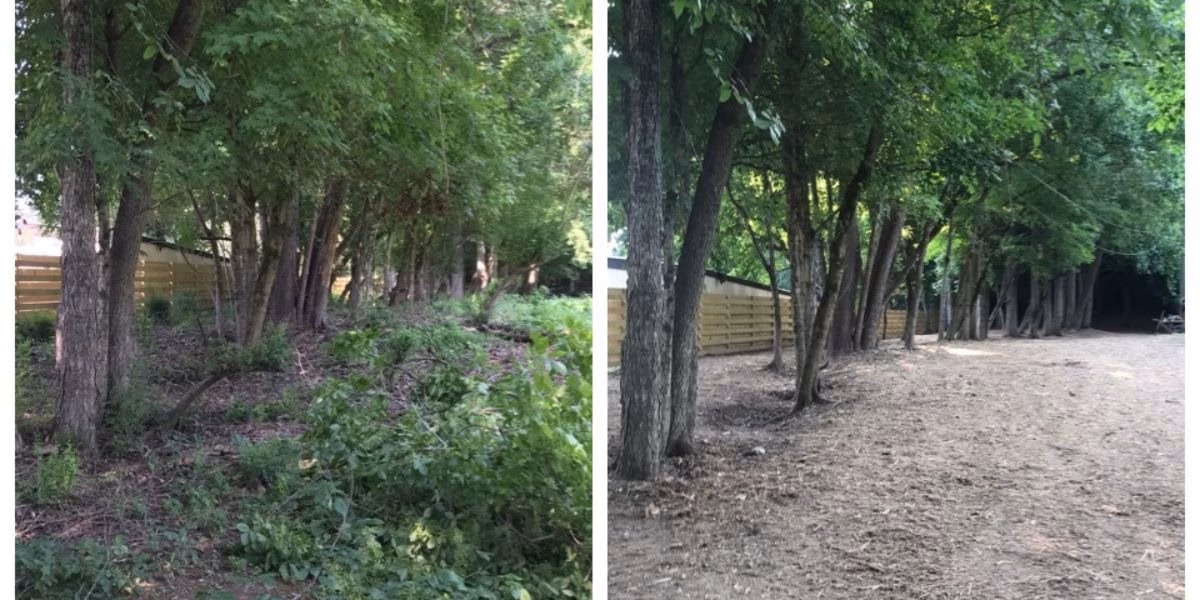 Limpieza de solar para construcción en Can Vidalet, Sabadell