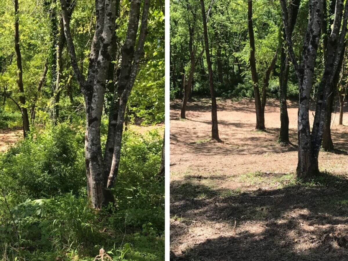 Antes y después de la limpieza de una finca en Terrassa