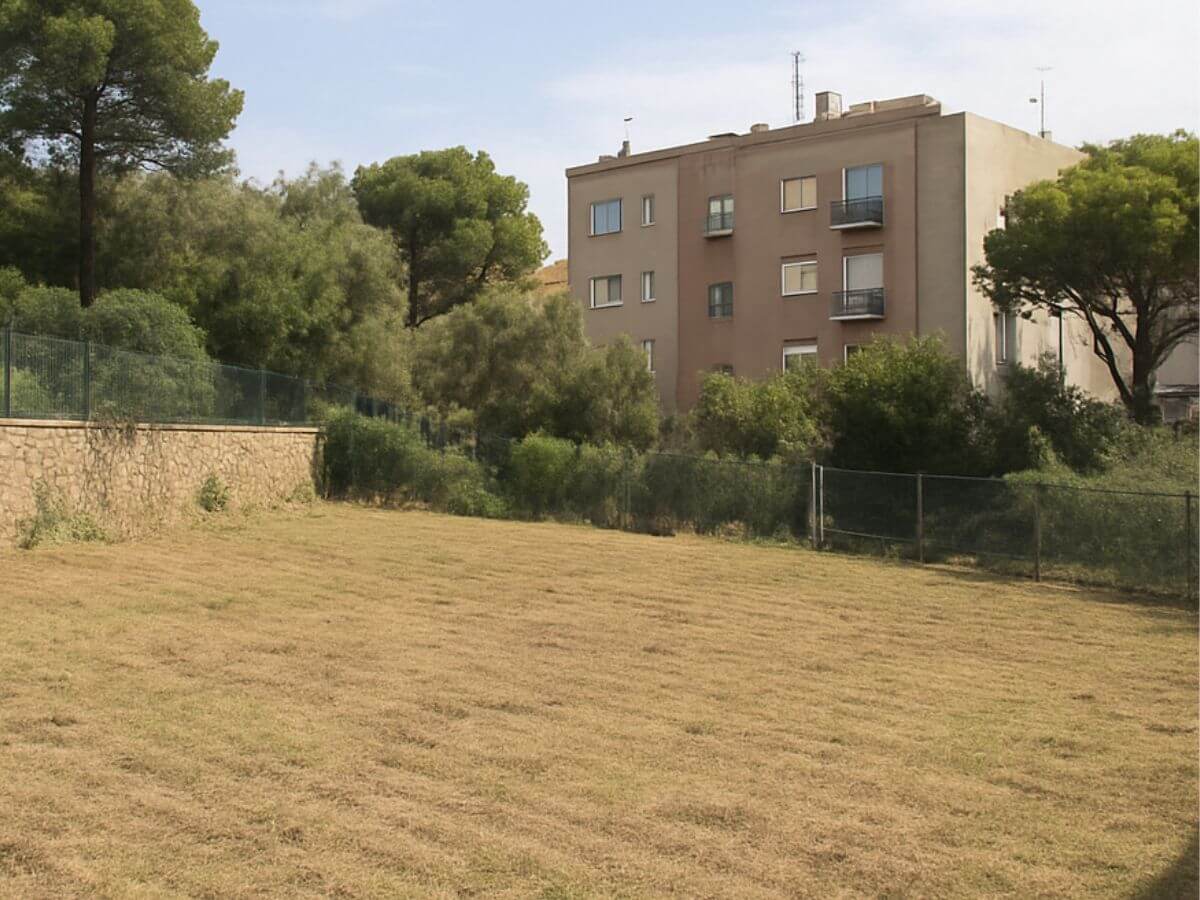 Resultado del desbroce y mantenimiento de los márgenes de una finca agrícola en la zona del Parc Agrari del Baix Llobregat.