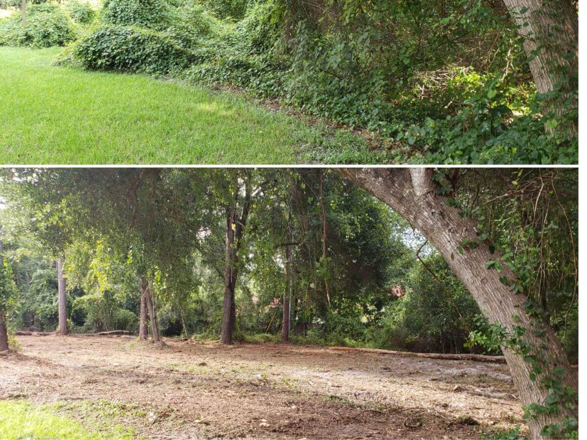 Acabado profesional de limpieza de terreno en Rubí